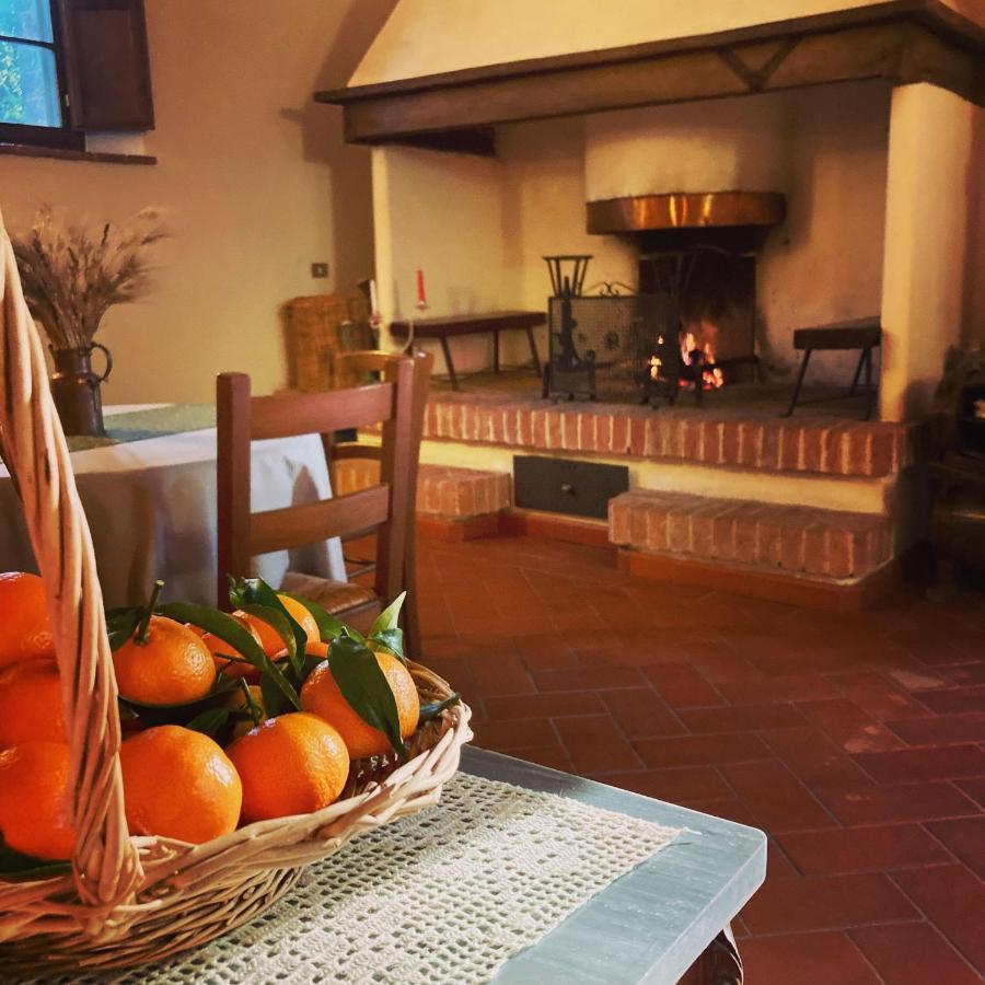 Podere La Chiusella B&B Раполано-Терме Екстер'єр фото