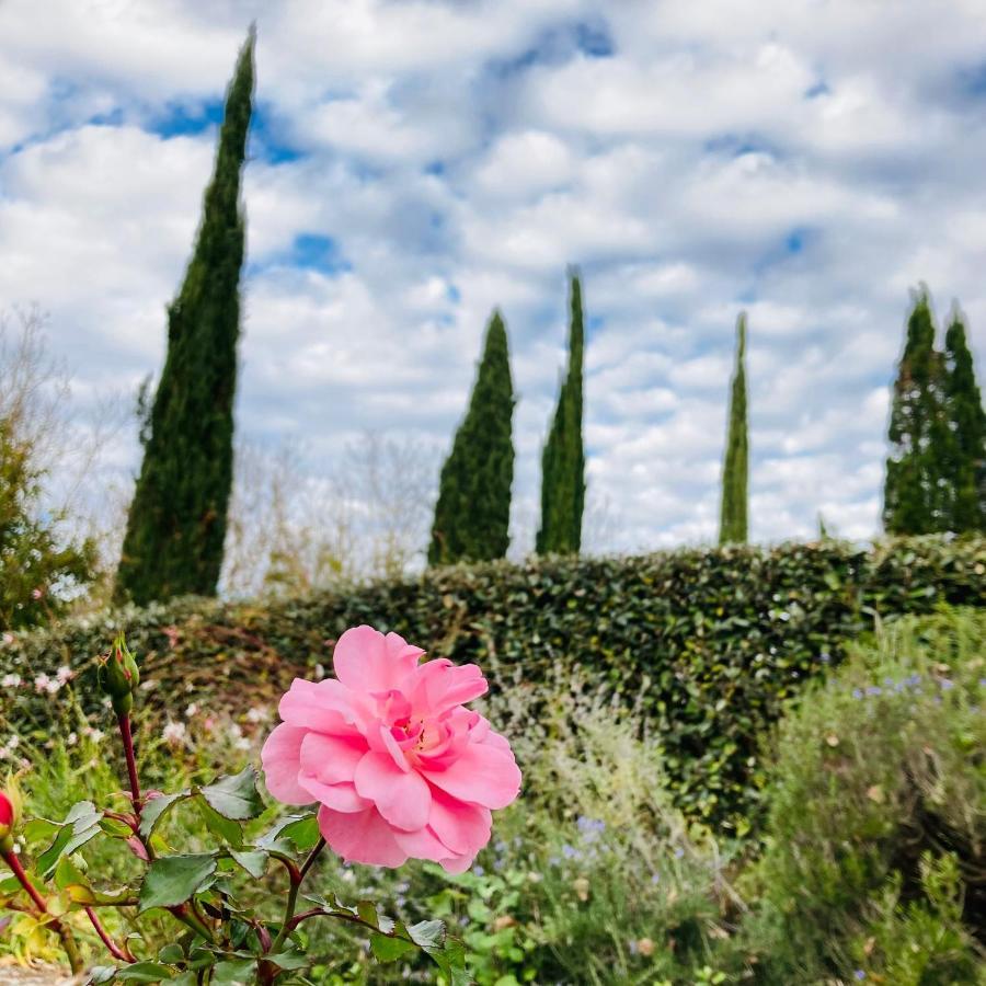 Podere La Chiusella B&B Раполано-Терме Екстер'єр фото